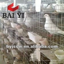 Pigeons Cages Design